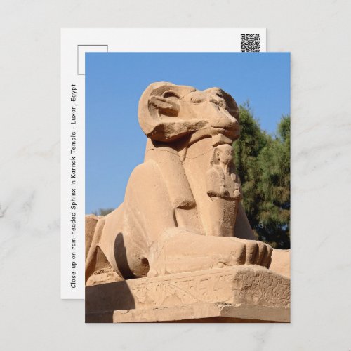 Ram_headed Sphinx in Karnak Temple _ Egypt Postcard