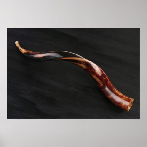 Ram horn  shofar  isolated over black poster