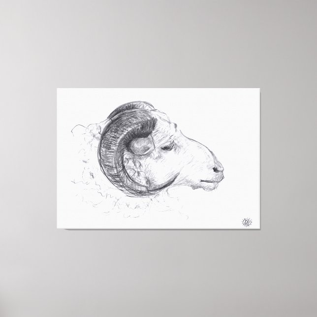 Ram - Original Drawing - Canvas Print (Front)