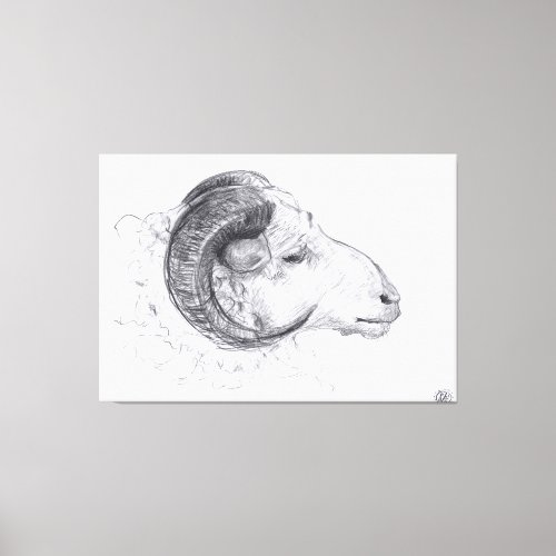 Ram _ Original Drawing _ Canvas Print