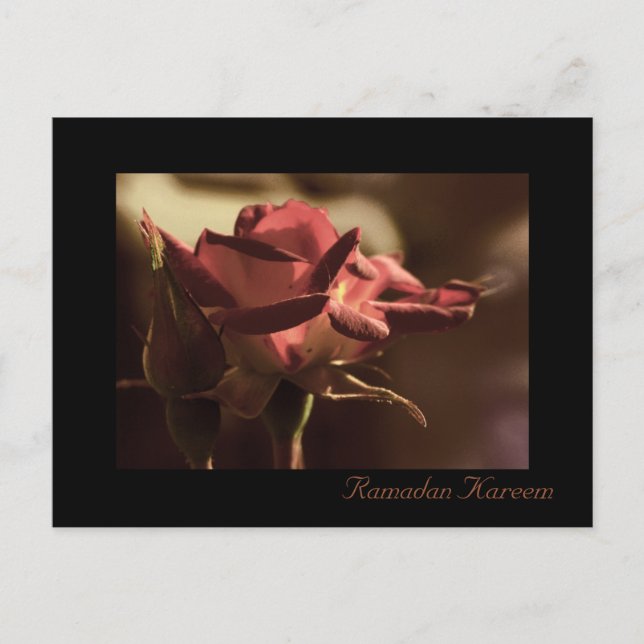 Ramadan Kareem - red rose postcard (Front)