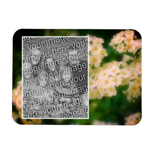 Rambling Wild White Roses Add Your Photo Magnet