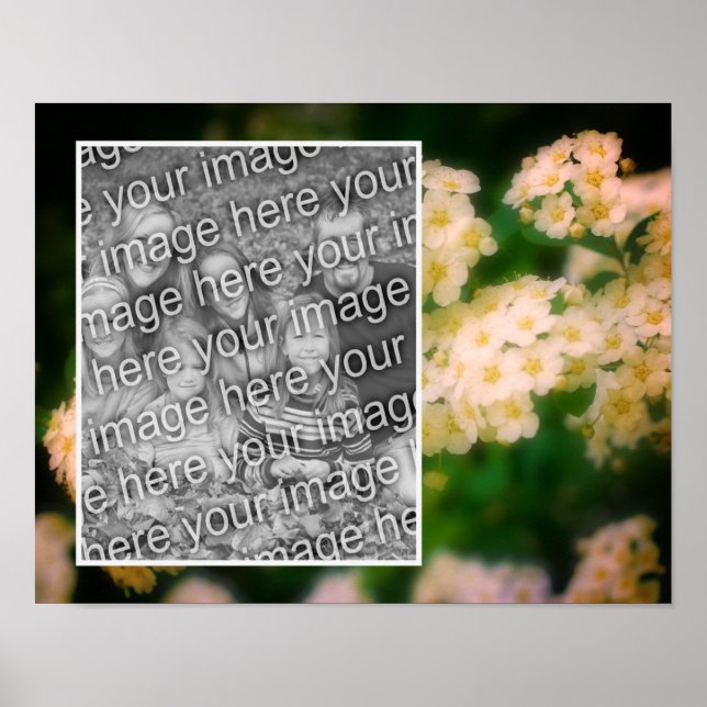 Rambling Wild White Roses Add Your Photo Poster (Front)