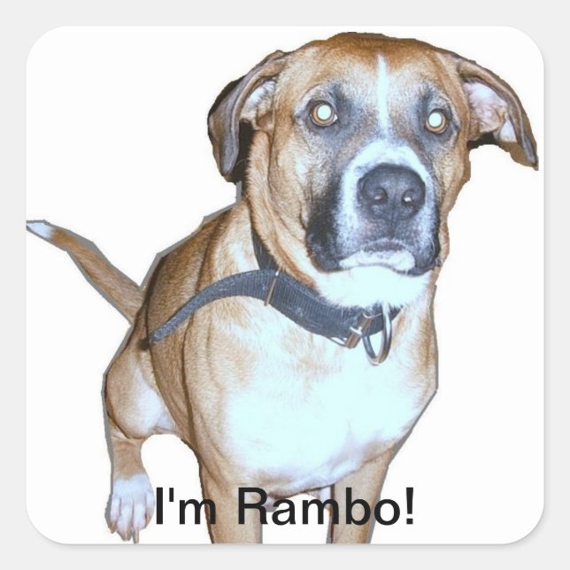 Rambo dog Sticker (Front)
