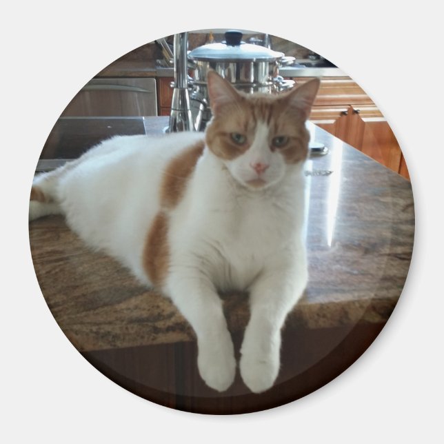 Rambo - Orange Kitty Magnet (Front)