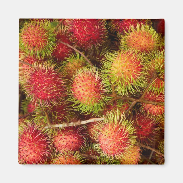 Rambutan Fruit at Can Duoc Market Magnet (Front)