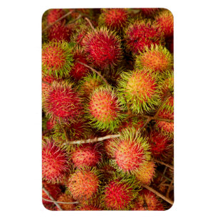 Rambutan Fruit at Can Duoc Market Magnet