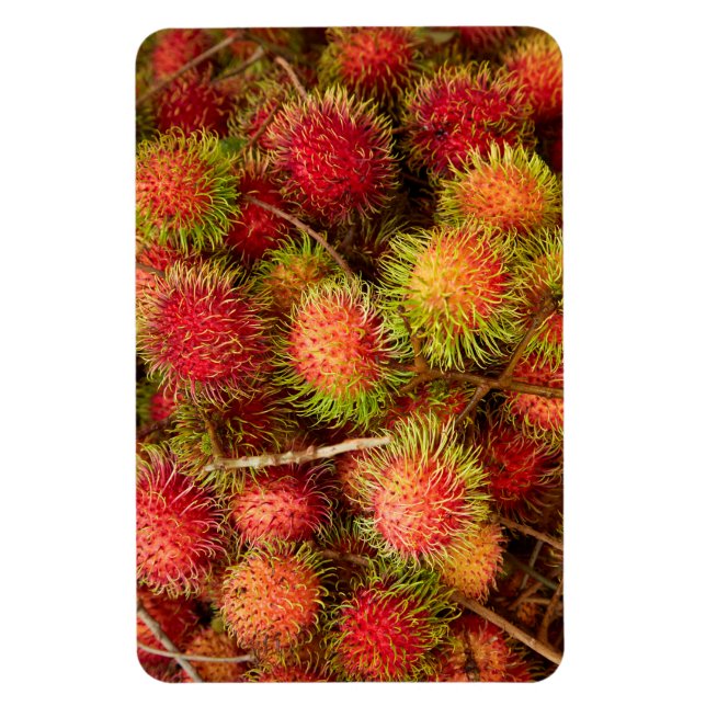 Rambutan Fruit at Can Duoc Market Magnet (Vertical)