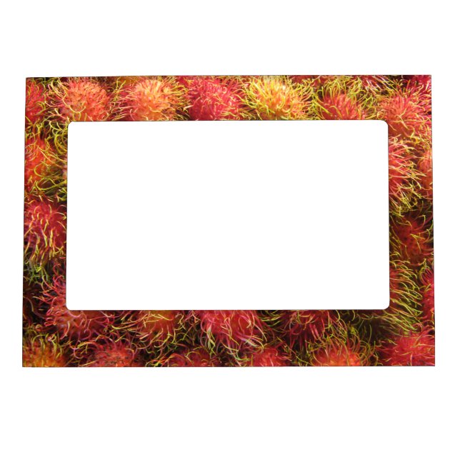 Rambutan Tropical Fruit Magnetic Photo Frame (Front)