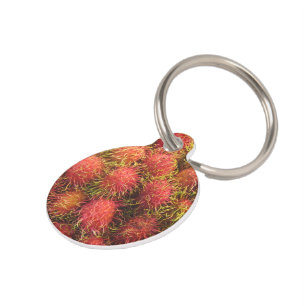 Rambutan Tropical Fruit Pet Tag