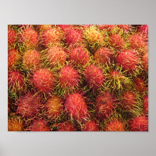 Rambutan Tropical Fruit Poster