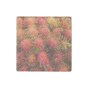 Rambutan Tropical Fruit Stone Magnet