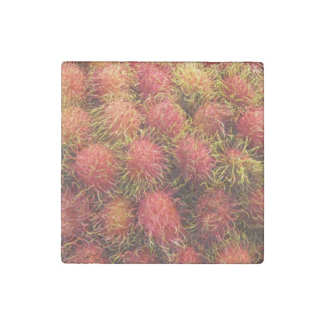 Rambutan Tropical Fruit Stone Magnet (Front)