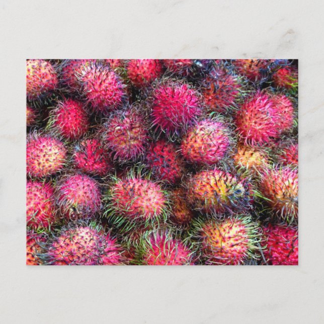 Rambutans photo postcard (Front)