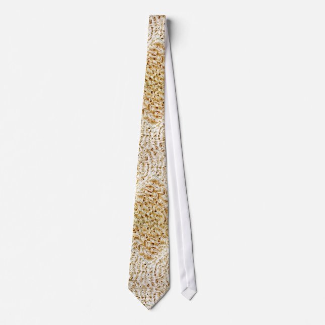 Ramen Noodle Tie (Front)