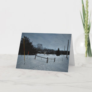 "Rampage in the Park" Christmas Card