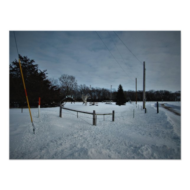 "Rampage in the Park" Photo Print (Front)