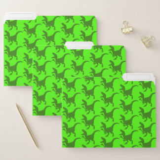 Rampaging Dinosaurs File Folders