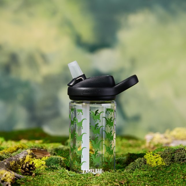 Rampaging Dinosaurs Water Bottle (Outdoor)