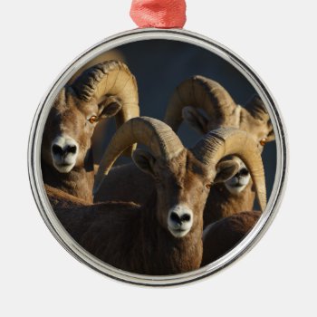 Rams Metal Ornament by WorldDesign at Zazzle