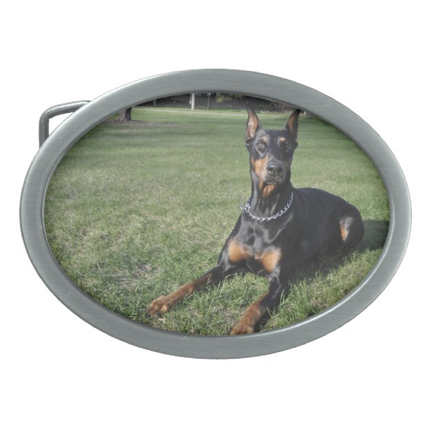 doberman belt buckle