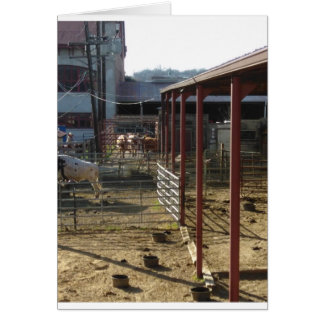 Ranch Cards