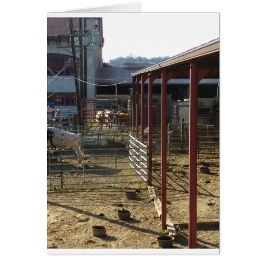 Ranch Cards (Front)