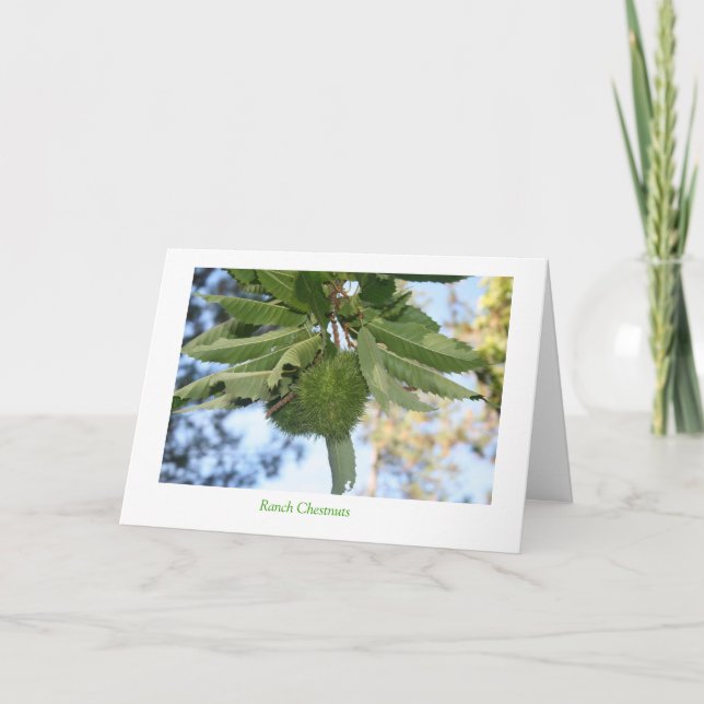 Ranch Chestnuts Holiday Card (Front)