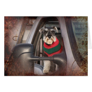 Ranch Dog Cards