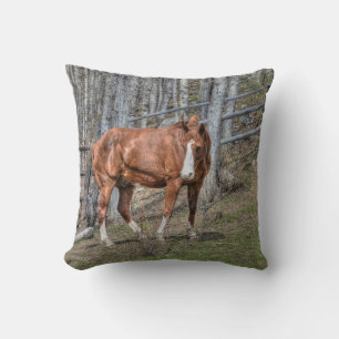 Ranch Horse Equine Photo Design for Animal-lovers Throw Pillow