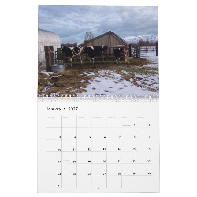 Ranch Life - Cattle Calendar (Jan 2027)