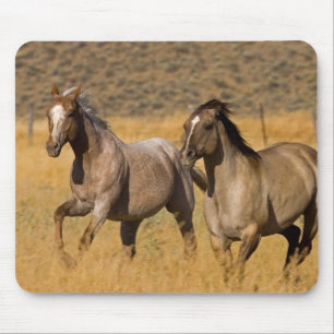 Ranch Living at The Ponderosa Ranch Mouse Pad