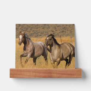 Ranch Living at The Ponderosa Ranch Picture Ledge