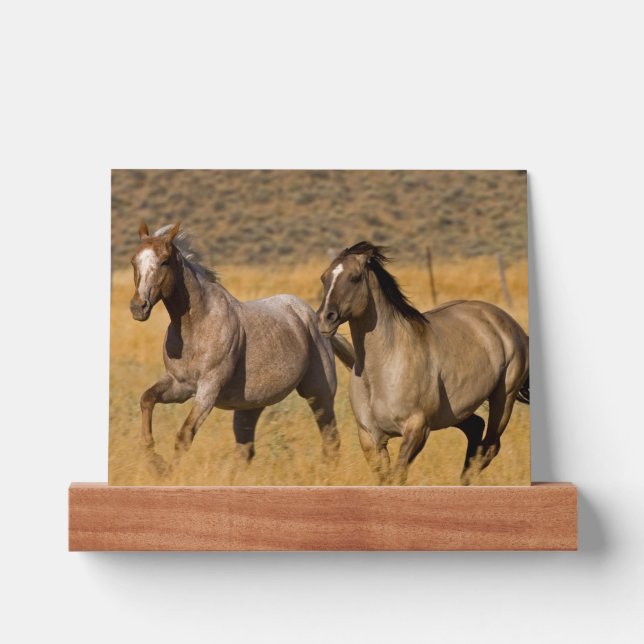 Ranch Living at The Ponderosa Ranch Picture Ledge (Front)