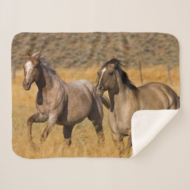 Ranch Living at The Ponderosa Ranch Sherpa Blanket (Front (Horizontal))