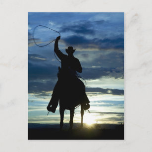 Ranch sunset horseback Riding cowboy silhouette Postcard