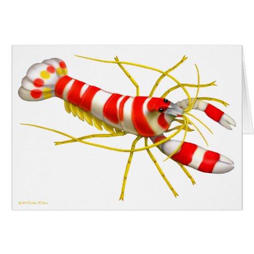 Randalls Pistol Shrimp Art Card