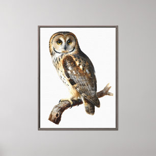 “Randolph” - A Watchful Silence, An Owl’s Portrait Canvas Print