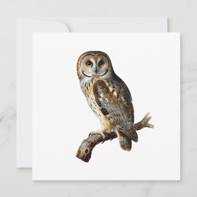 “Randolph” - A Watchful Silence, An Owl’s Portrait Invitation (Front)