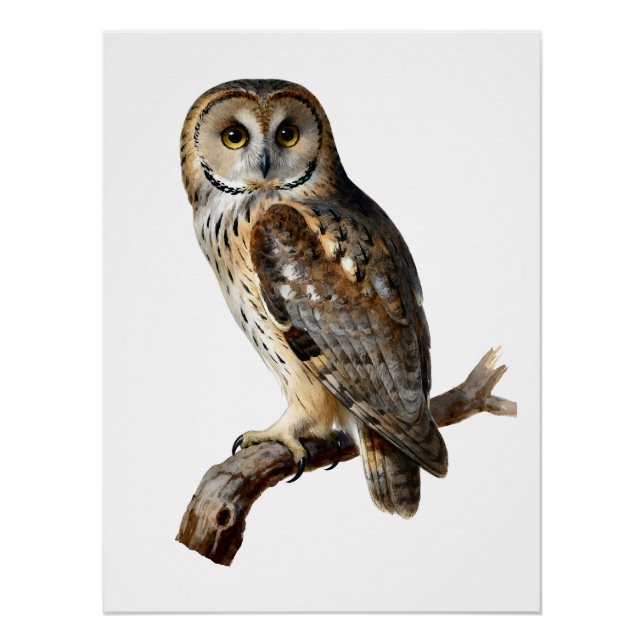 “Randolph” - A Watchful Silence, An Owl’s Portrait Poster (Front)