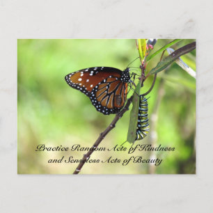 Random Act of Kindess Postcard - Queen Butterfly