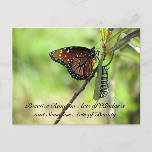 Random Act of Kindness Postcard - Queen Butterfly (Front)