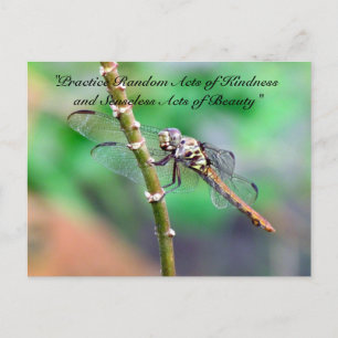Random Acts of Kindness Postcard - Dragonfly
