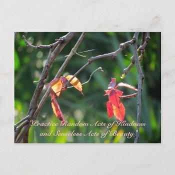 Random Acts Of Kindness Postcard - Fall Leaves by CatsEyeViewGifts at Zazzle