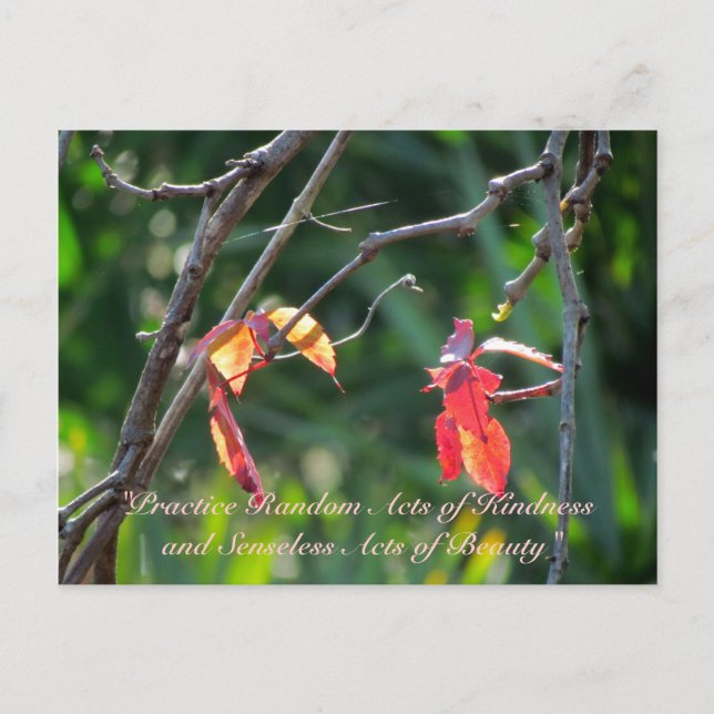 Random Acts of Kindness Postcard - Fall Leaves (Front)