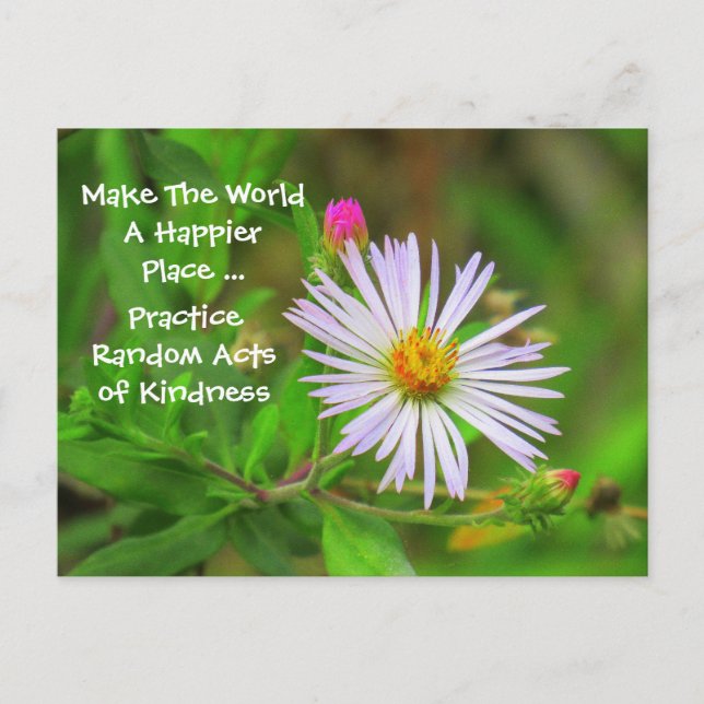 Random Acts of Kindness Postcard (Wildflower) (Front)