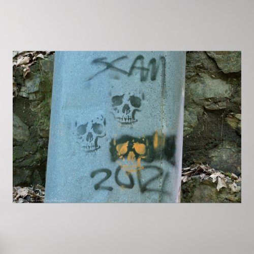 Random Graffiti Scam Skulls on Pipe Poster