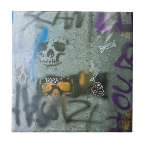 Random Graffiti Scam Skulls on Pipe Redux Tile