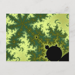 Random Million 004 Postcard