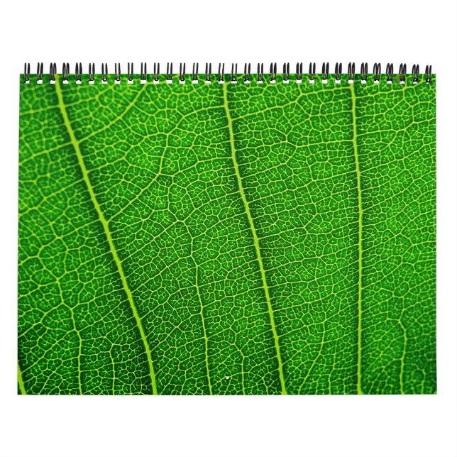 Random nature calendar (Cover)